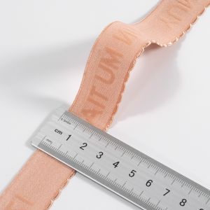 High quality adjustable shiny nylon shoulder strap elastic bra strap Invisible