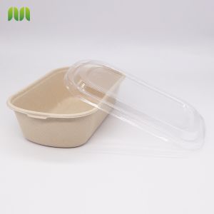 Biodegradable Clamshell Take Out Containers Eco Friendly Salad Box With Pet Lid