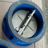 Buy cheap CHECK VALVE WAFER TYPE DOUBLE DISC CHECK VALVE product