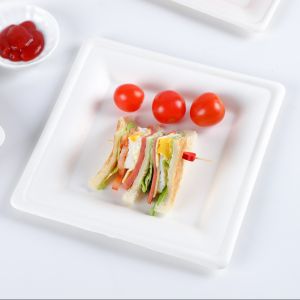 Buy cheap Eco Friendly Sugarcane Bagasse Biodegradable Disposable Tray Compostable Tableware Rectangle 9 Inch from wholesalers