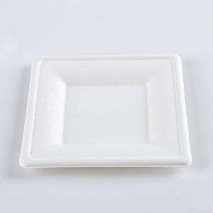 Eco Friendly Biodegradable Disposable Plate Sugarcane Bagasse Box Clamshell