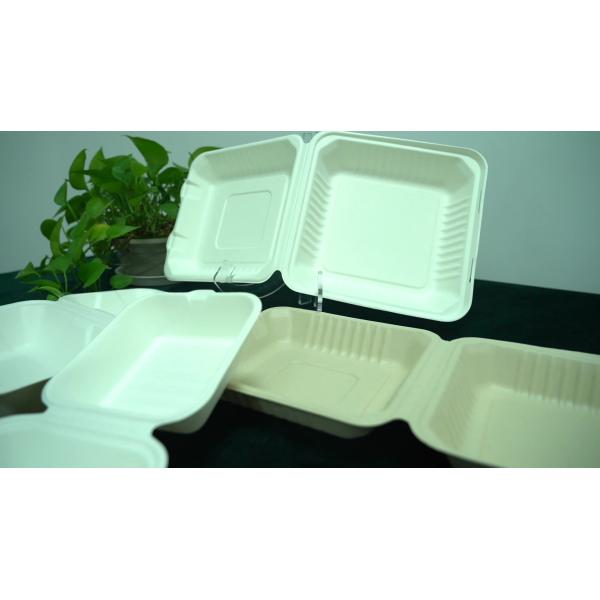 Quality Food Packing Takeaway bagasse Pulp large dinner container box for sale
