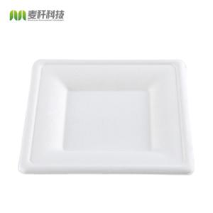 Eco Friendly Biodegradable Disposable Plate Sugarcane Bagasse Box Clamshell