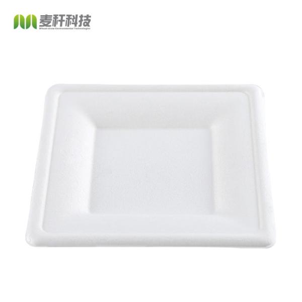 Eco Friendly Biodegradable Disposable Plate Sugarcane Bagasse Box Clamshell