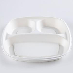 Eco Friendly Sugarcane Bagasse Biodegradable Disposable Tray Compostable