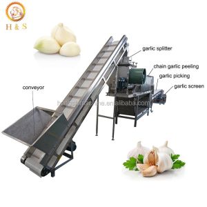 Automatic Garlic bulb breaking machine / Garlic peeler skin removing machine