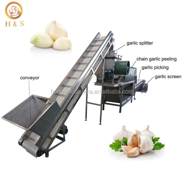 Automatic Garlic bulb breaking machine / Garlic peeler skin removing machine