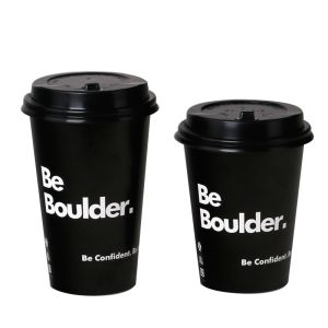 9oz To Go Coffee Cups With Lids , Disposable Insulated Paper Cups