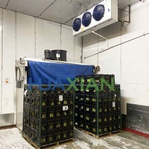 Buy cheap Deep Freezer Modular Cold Storage Room For Meat / Vegetables / Fish / Fruit from wholesalers