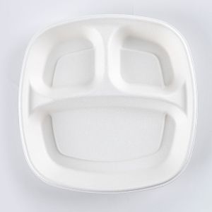 Eco Friendly Sugarcane Bagasse Biodegradable Disposable Tray Compostable