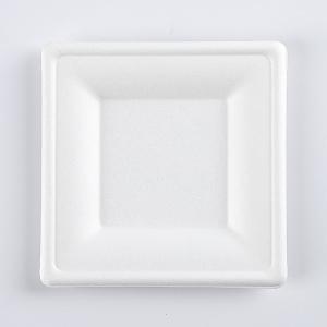 Eco Friendly Biodegradable Disposable Plate Sugarcane Bagasse Box Clamshell