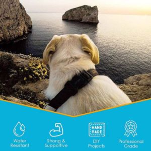 Colored 100% PP Webbing Polypropylene Tape For Bags