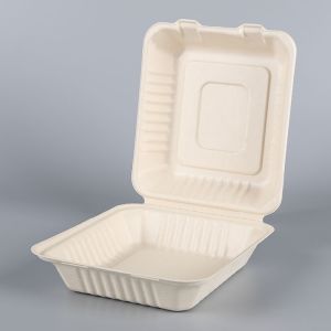 biodegradable disposable sugarcane bagasse takeaway food container packaging