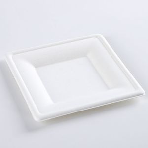 Eco Friendly Biodegradable Disposable Plate Sugarcane Bagasse Box Clamshell