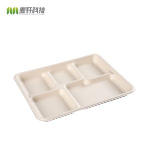 Buy cheap Fiber 5 Section Compartment Biodegradable Disposable Tray Hot Selling from wholesalers