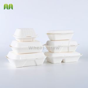 Sugarcane pulp bagasse tableware rectangular container tray for sushi pork