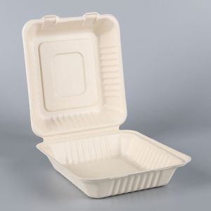 biodegradable disposable sugarcane bagasse takeaway food container packaging