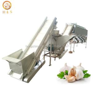 Automatic Garlic bulb breaking machine / Garlic peeler skin removing machine