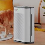 Buy cheap Electrical Hepa Filter WiFi Control Pet Air Purifier For Allergies And Pets from wholesalers