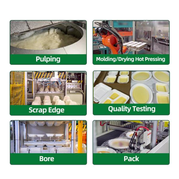 White 3 Compartment Bagasse Tray Original Color Dinner Sugarcane Bagasse Pulp 10 Inch Round Plates