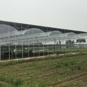 Buy cheap Prefabricated Tomatoes Tunnel Plastic Greenhouse / Film Multi Span Greenhouse from wholesalers