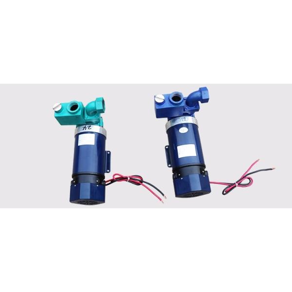 3/4" Gasoline Engine Of Electronic Fuel Pump BJJ-20-PJ 12v 24v 220v