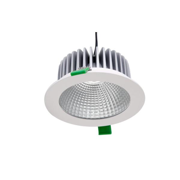 IP20 100 - 240VAC 1010 Lumen 15W Bridgelux COB LED Down Light With 50° Energy