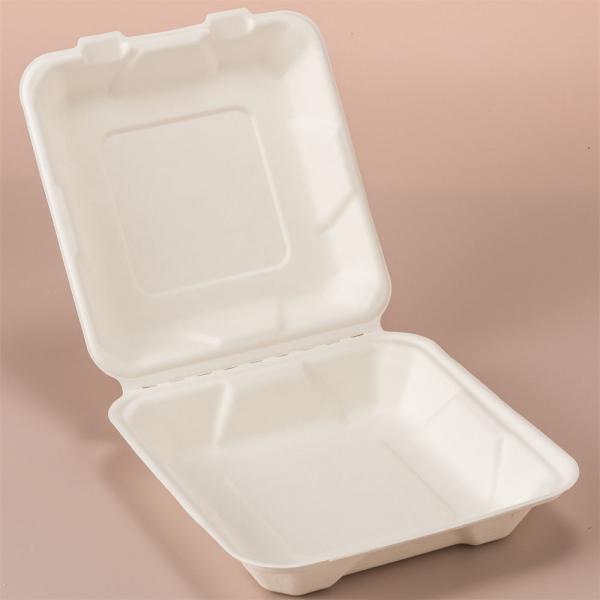 8Inch Clamshell Food Containers Compostable Bagasse Food Box