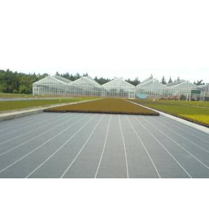 Buy cheap Garden Ground Cover Fabric / Weed Control Non Woven Fabric For Maintain Temperature from wholesalers