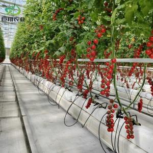 Customized Hydroponics Greenhouse with Climate Control System and Double Layer