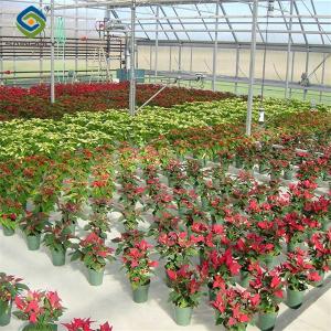 Buy cheap Toughened Clear Glass Flower Greenhouse Customized With Automatic Systems from wholesalers