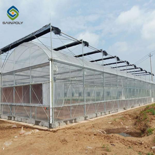 10m Hot Dip Galvanized Steel Frame Multi Span Greenhouse