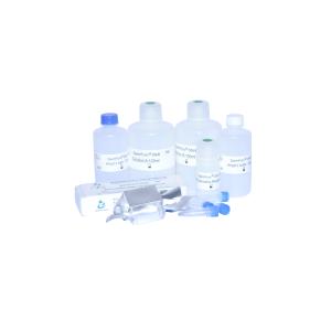 Buy cheap SCD Method Sperm DFI Test Kit For Determination DNA Fragmentation Level In Spermatozoa SCD from wholesalers