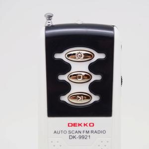 Private Model FM Radio Speaker Wireless 100H Antenna Mini Portable Speaker Radio