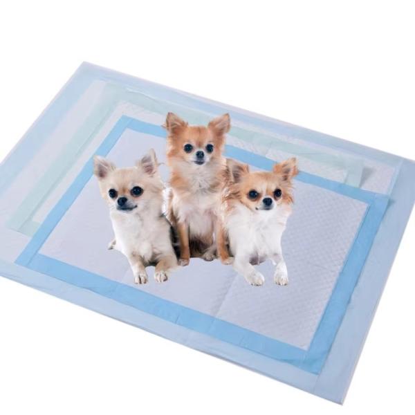 Quality Custom Pet Puppy Train Pads Waterproof Disposable Pee Pads For Dogs for sale