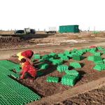 Buy cheap HDPE Black Green White Plastic Planting Grass Paver Grid for Parking Lot and Driveway from wholesalers