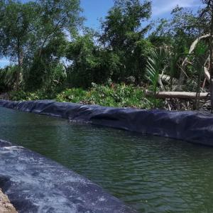 50-200m Length Agricultural HDPE Geomembrane for Fish Pond Liner in Farming