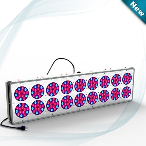 Quality 2018 led lighting Smart Lighting greenhouse led grow light 1000W for sale