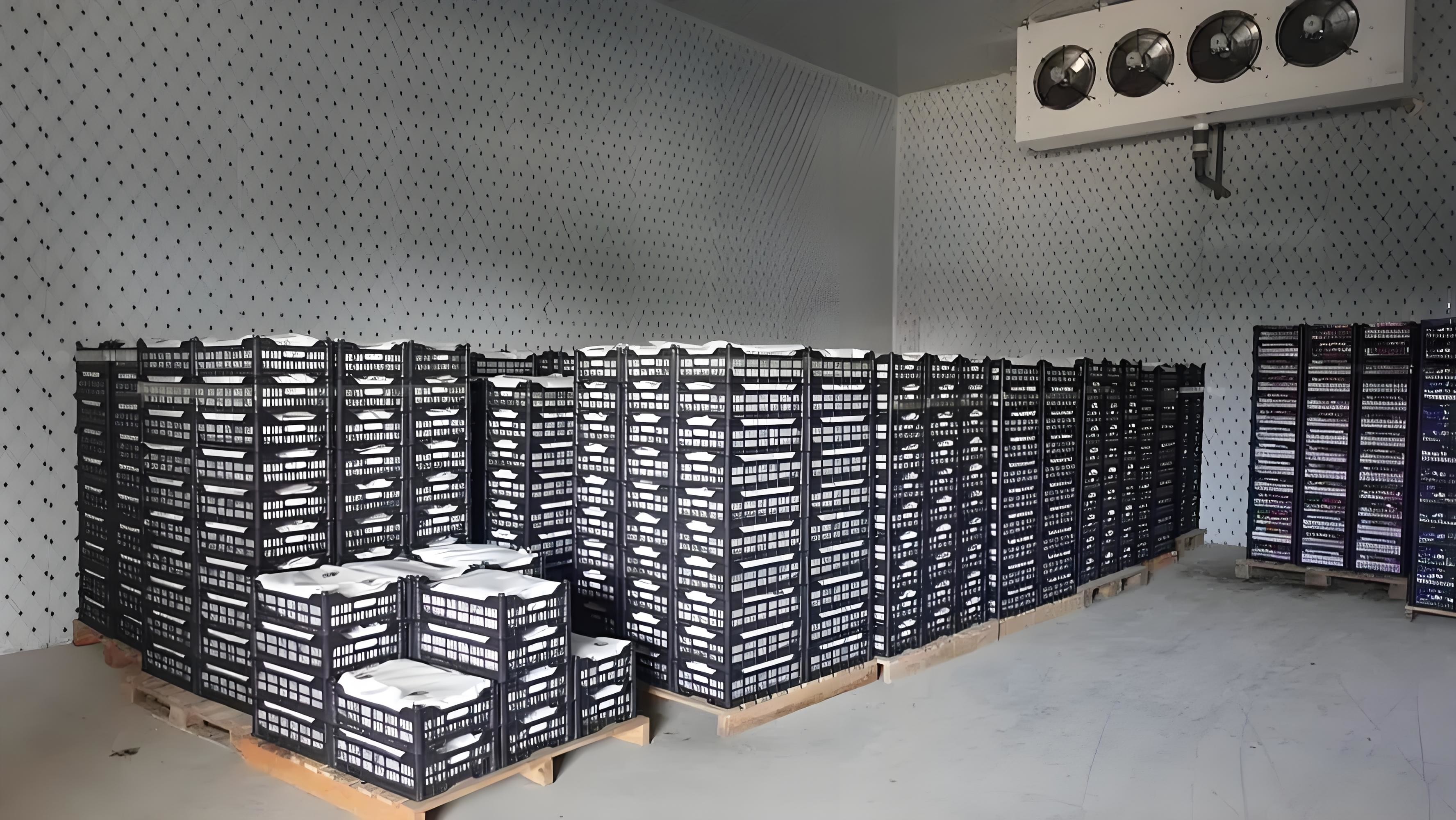 Buy cheap Electric Defrosting Quick Freeze Cold Storage Cold Room With Bitzer / Copeland Compressor from wholesalers
