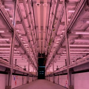 Buy cheap LED Light Indoor Hydroponic Farm Container with Climate Control from wholesalers