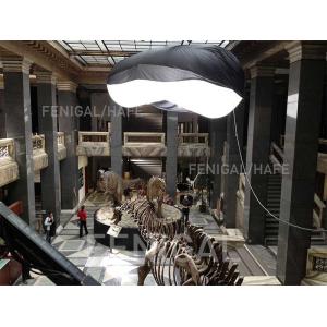 Buy cheap 4000W HMI Tube Balloon Light 2.5/4K 2500/4000W optional for film deco shooting from wholesalers