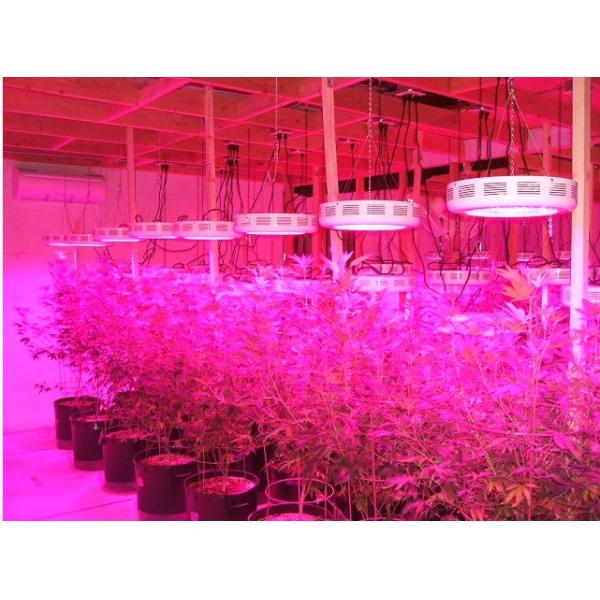 Quality 2018 latest 225W UFO grow led lighting with 3W LEDs and spectrum optional for sale