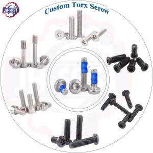 T5 T6 T8 T20 T25 Torx Screws for Custom CNC Stainless Steel Flat Mushroom Pan