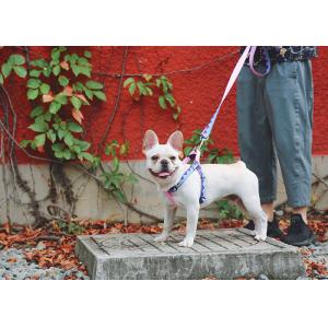 Large No Pull Rainbow Dog Harness With Name Woven Print Double Layer