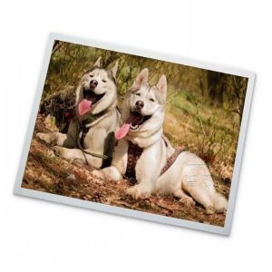 Buy cheap M240HVN02.1 24.0 Inch TFT-LCD 1920*1200 Modules High Resolution LCD Monitors in stock from wholesalers