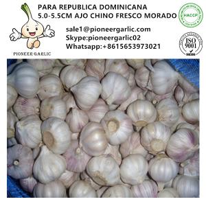 Buy cheap HIGH QUALITY GARLIC WITH CHEAP PRICE from wholesalers