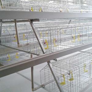 Buy cheap Farming Broiler Chicken Cage A Type 3 Tiers Automatic Control Easy To Install from wholesalers