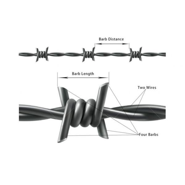 Buy cheap 14x14 Gauge Metal Netting Mesh Hot Dipped Galvanized Barbed Wire Double Twisted from wholesalers