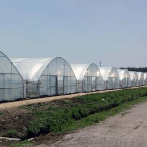 Buy cheap Seedling Cultivation Juxiang Hydroponic Farm Film Greenhouse with Customized Request from wholesalers