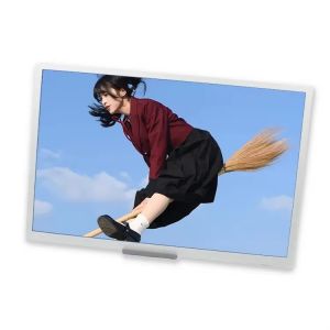 China 8inch 1200*1920 TFT LCD Display Panel P080LDN-DB1 with  MIPI Interface on sale